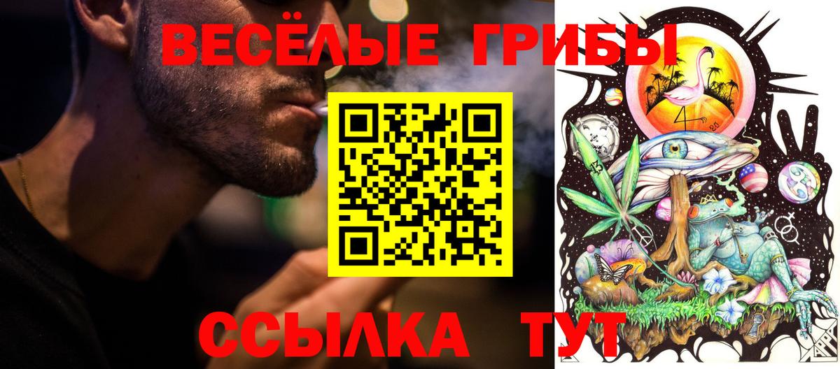 Галлюциногенные грибы прущие грибы Рубцовск