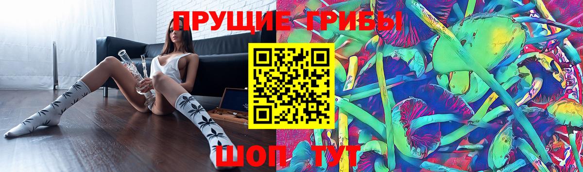 наркота  Псилоцибиновые грибы мицелий  Вход с VPN  Рубцовск 